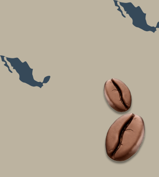 Granos de café sobre mapa