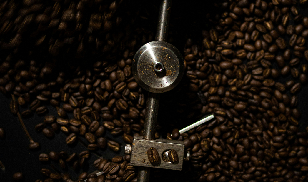 Planta certificada de tostado